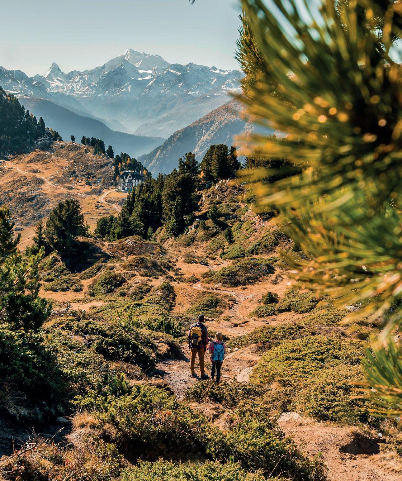 Discover Germany, Issue 110, October 2023 by Scan Client ...